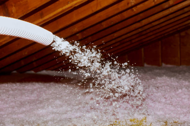 Best Insulation Installation Services in Kendall, FL